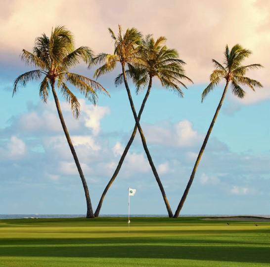 Home - Waialae Country Club